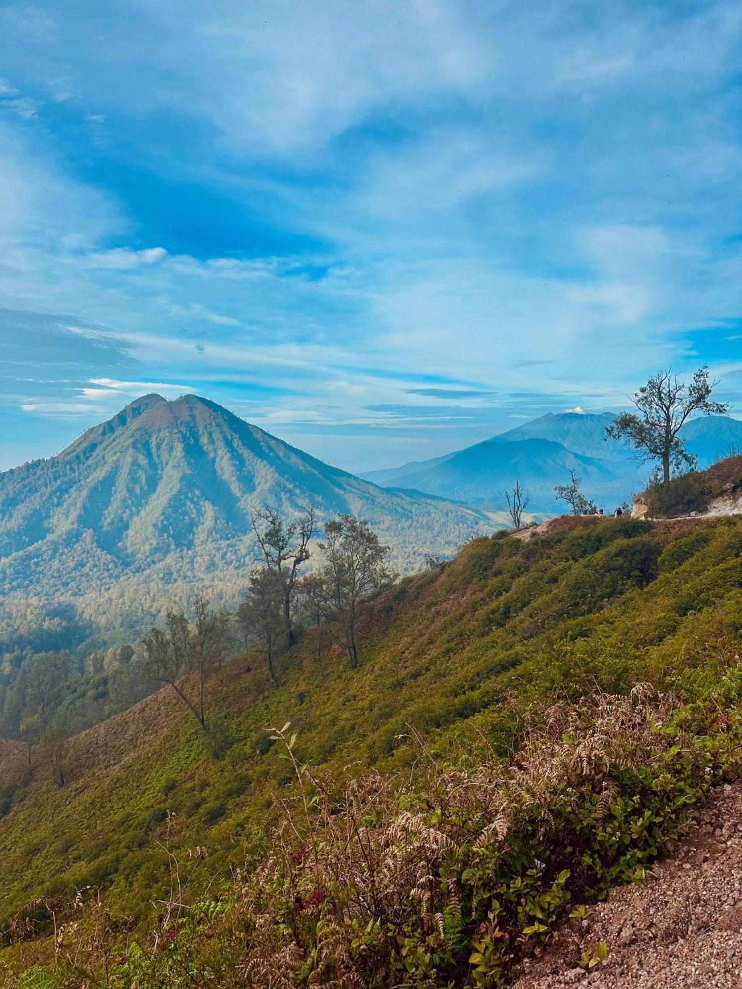 バニュワンギ Ijen Backpackerホステル エクステリア 写真